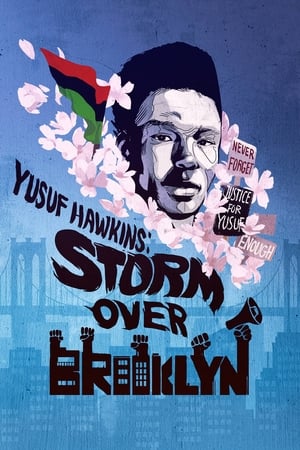 watch Yusuf Hawkins: Storm Over Brooklyn