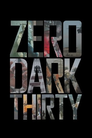 watch Zero Dark Thirty