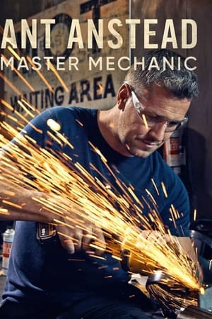 Ant Anstead Master Mechanic