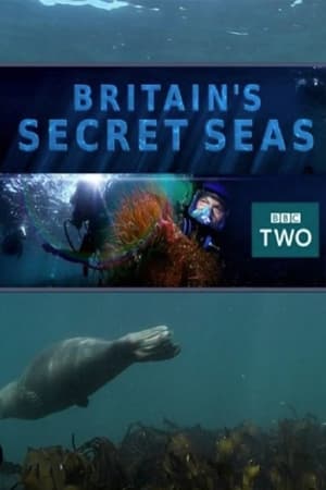 Britain's Secret Seas