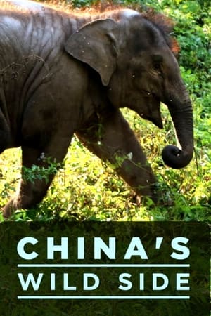 China's Wild Side