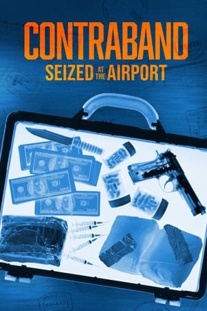 Contraband: Seized at the Airport