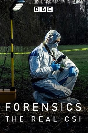 Forensics: The Real CSI