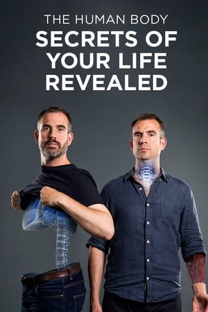 The Human Body: Secrets of Your Life Revealed