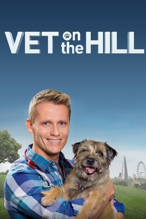 Vet On The Hill