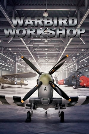 Warbird Workshop