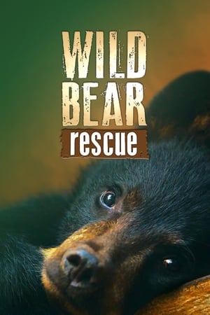 Wild Bear Rescue